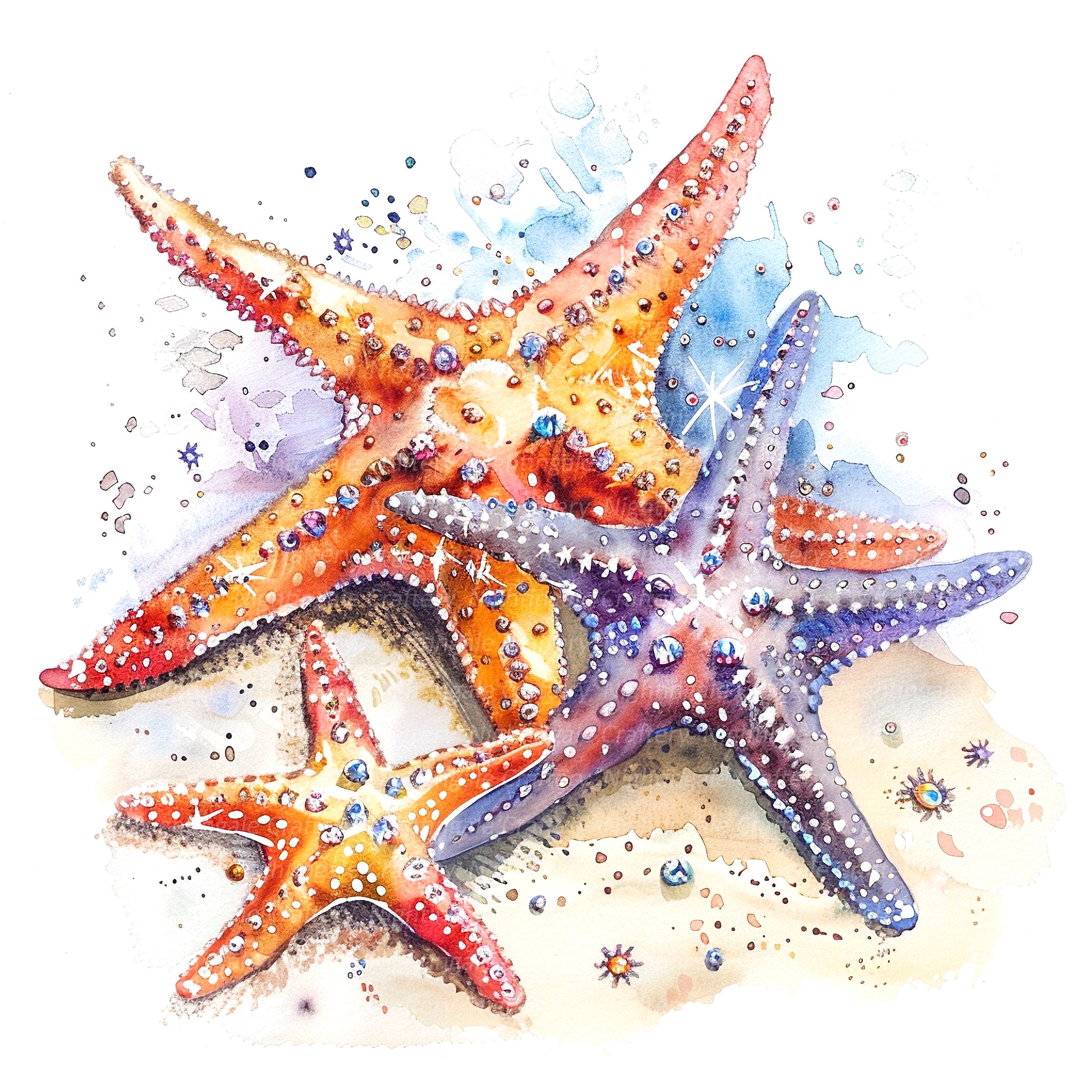 12 Starfish Clipart, Starfish in beach, Printable Watercolor clipart, High Quality JPG/PNGs, Digital download, Paper craft, junk journal