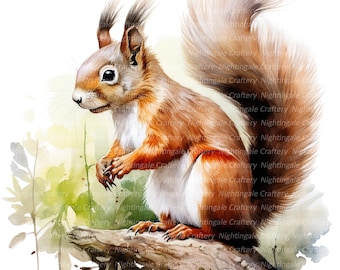 Cute Squirrel in Forest Clipart, Printable Watercolor clipart, 10 High Quality JPG/PNGs, Digital download, High resolution, Paper crafts