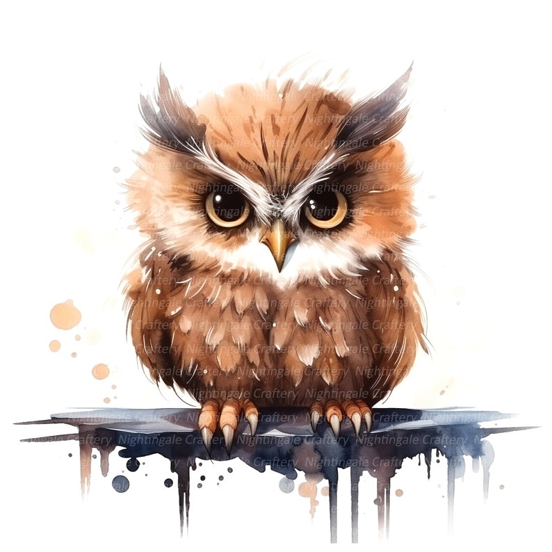 Washed Owl 10 Grumpy Owl Clipart, Cute Owl Clipart, Digital Clipart, Watercolor ...