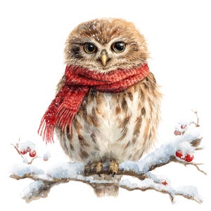 May include: A watercolour illustration of a small owl with brown and white feathers, wearing a red scarf. The owl is perched on a snow-covered branch with red berries, against a white background. The owl has large, dark eyes.