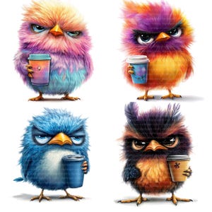 14 imágenes prediseñadas de pájaros caprichosos, pájaro divertido, imágenes prediseñadas digitales, imágenes prediseñadas de acuarela, archivos JPG de alta calidad, imágenes prediseñadas imprimibles, descarga digital