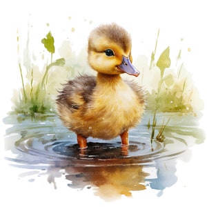 10 Duckling Clipart, Duck Duckling, Printable Watercolor clipart, 10 High Quality JPGs, Digital download, Paper craft, junk journals