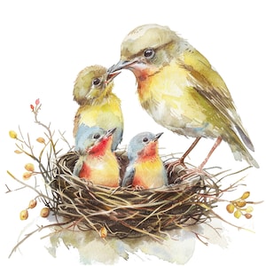 9 Vögel im Nest Clipart, Vogel füttern Clipart, druckbare Aquarell Clipart, hochwertige JPGs, digitaler Download, Papiermodell, Junk Journals