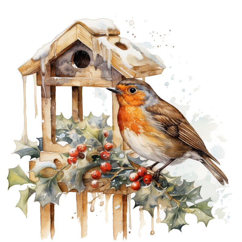 12 Christmas Robin Clipart Set 2, Printable Watercolor Clipart, High ...