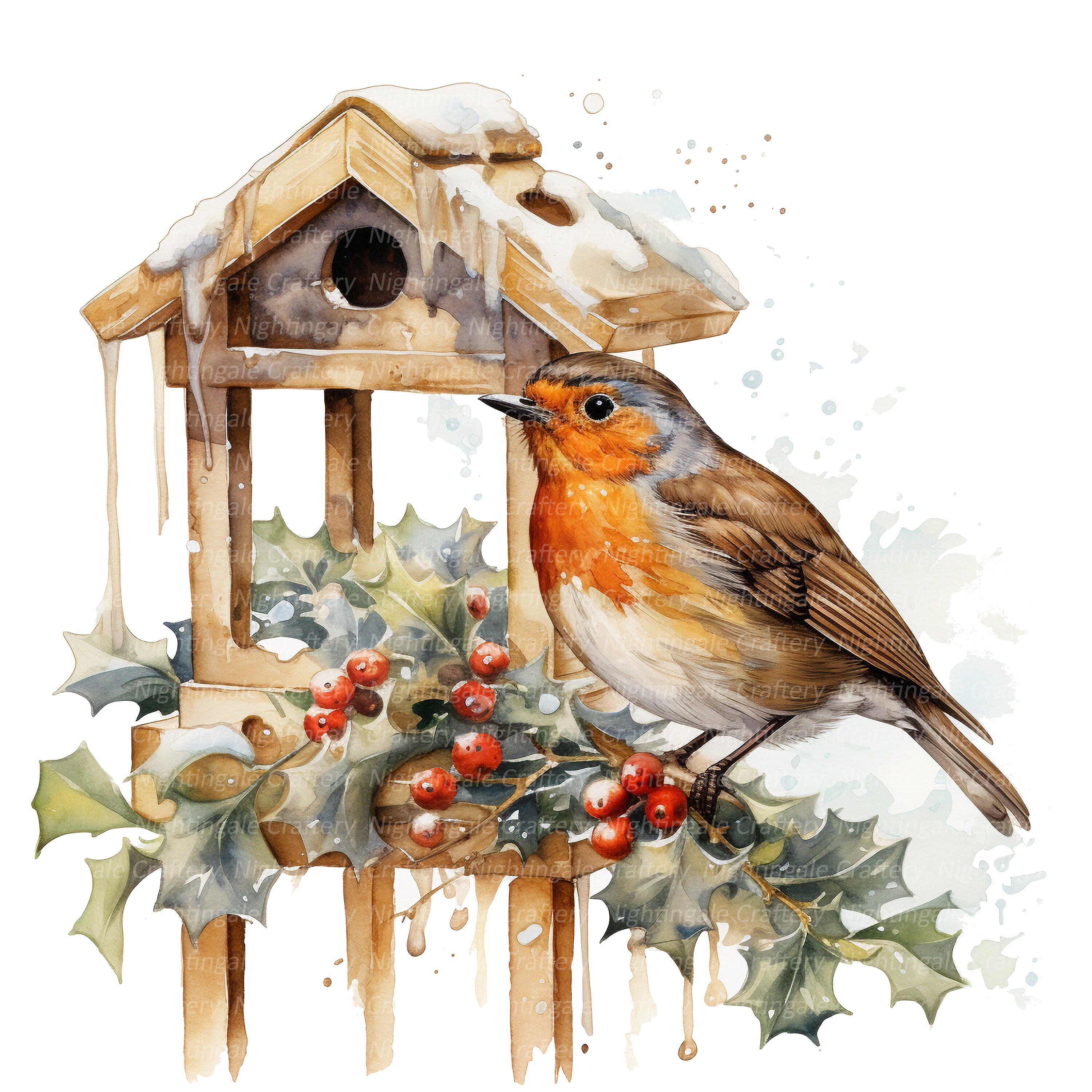 12 Christmas Robin Clipart Set 2, Printable Watercolor Clipart, High ...