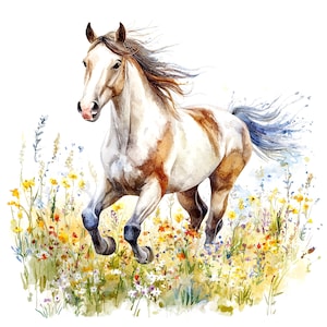 12 Pferd auf der Wiese Clipart, laufendes Pferd, druckbare Aquarell Clipart, hochwertige JPGs, digitaler Download, Sublimation, Junk Journals