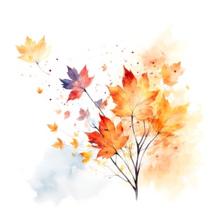 14 clipart de folhas de outono ventoso, folhas de outono, clipart em aquarela para impressão, JPGs de alta qualidade, download digital, artesanato em papel, diários indesejados