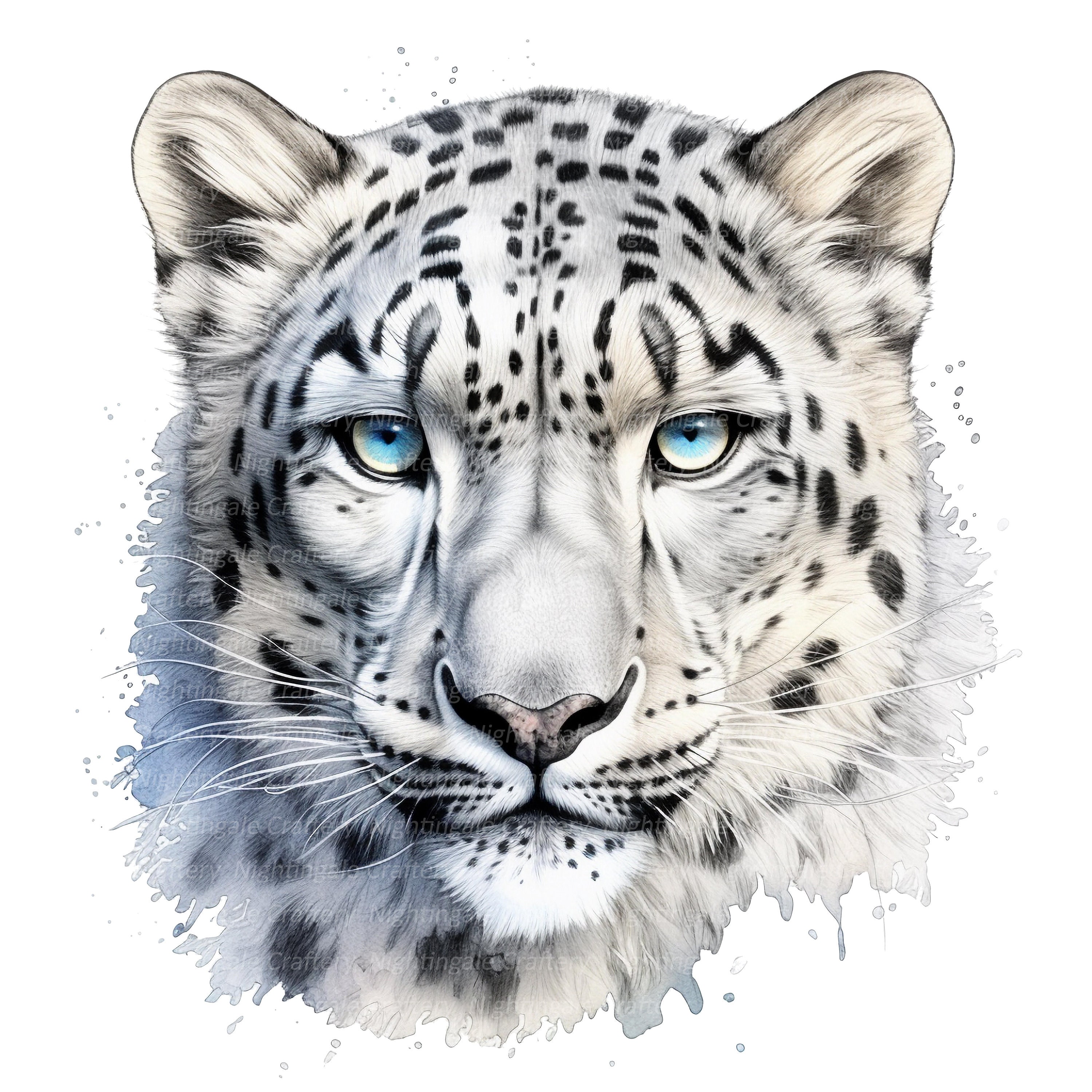 12 Snow Leopard Clipart, Printable Watercolor Clipart, 12