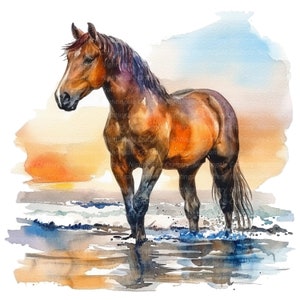 11 Pferd im Meer Clipart, Sonnenuntergang Pferd Clipart, druckbare Aquarell Clipart, hochwertige JPGs, digitaler Download, Sublimation, Junk Journals