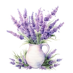 12 Lavender Clipart, Lavender in vase, Printable Watercolor clipart, 12 High Quality JPGs, Digital download, Paper craft, junk journal