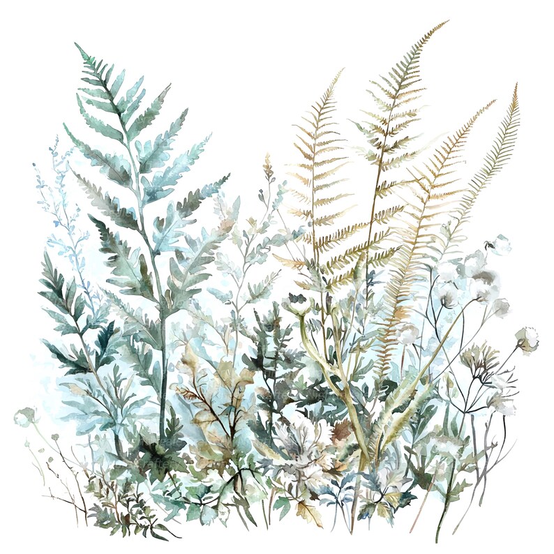 10 Abstract Fern Leaves Clipart, Fern Clipart, Printable Watercolor ...