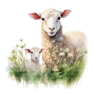 May include: A watercolor painting of a mother sheep and her lamb standing in a field of white flowers. The sheep are white with fluffy fur and have brown eyes. The flowers are surrounded by green grass.