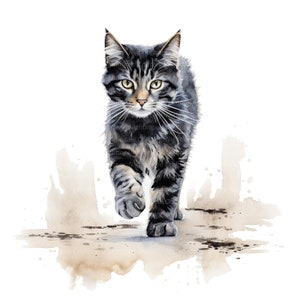 10 Katze zu Fuß Clipart, Katze zu Fuß Clipart, druckbare Aquarell Clipart, hochwertige PNG / JPGs, digitaler Download, Papiermodell, Junk Journals