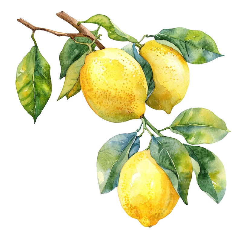 May include: Watercolor painting of a lemon branch with three yellow lemons and green leaves.