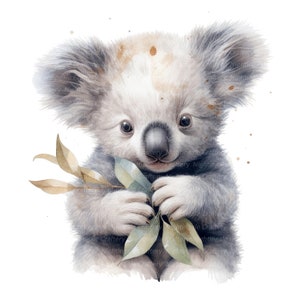 10 koalababy clipart, koalabeer clipart, afdrukbare aquarel clipart, hoge kwaliteit png's, digitale download, Paper Craft, junk tijdschriften