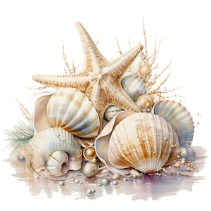 Puede incluir: Una pintura de acuarela de una estrella de mar y conchas marinas. La estrella de mar es marr&oacute;n y tiene cinco puntas. Las conchas son de varios tonos de beige y blanco. Tambi&eacute;n hay algunas perlas esparcidas alrededor de las conchas.