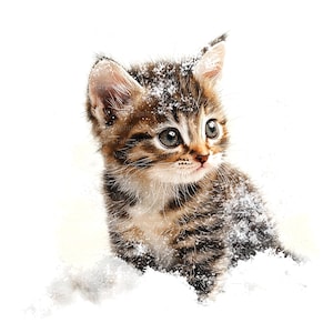14 clipart chaton dans la neige, clipart chat, clipart aquarelle imprimable, fichiers JPG de haute qualité, téléchargement numérique, créations en papier, journaux indésirables