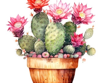 12 Cactus in Pot Clipart, Blooming Cactus, Printable Watercolor clipart, High Quality JPGs, Digital download, Paper craft, junk journals