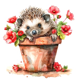 10 egel bloempot clipart, cartoon egel, afdrukbare aquarel clipart, hoge kwaliteit JPG, digitale download, Papercraft, sublimatie
