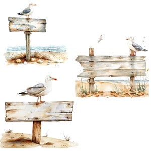 14 Clipart di cartelli in legno, Cartelli da spiaggia, Clipart nautici, acquerello stampabili, PNG di alta qualità, download digitale, Mestiere di carta, diari spazzatura