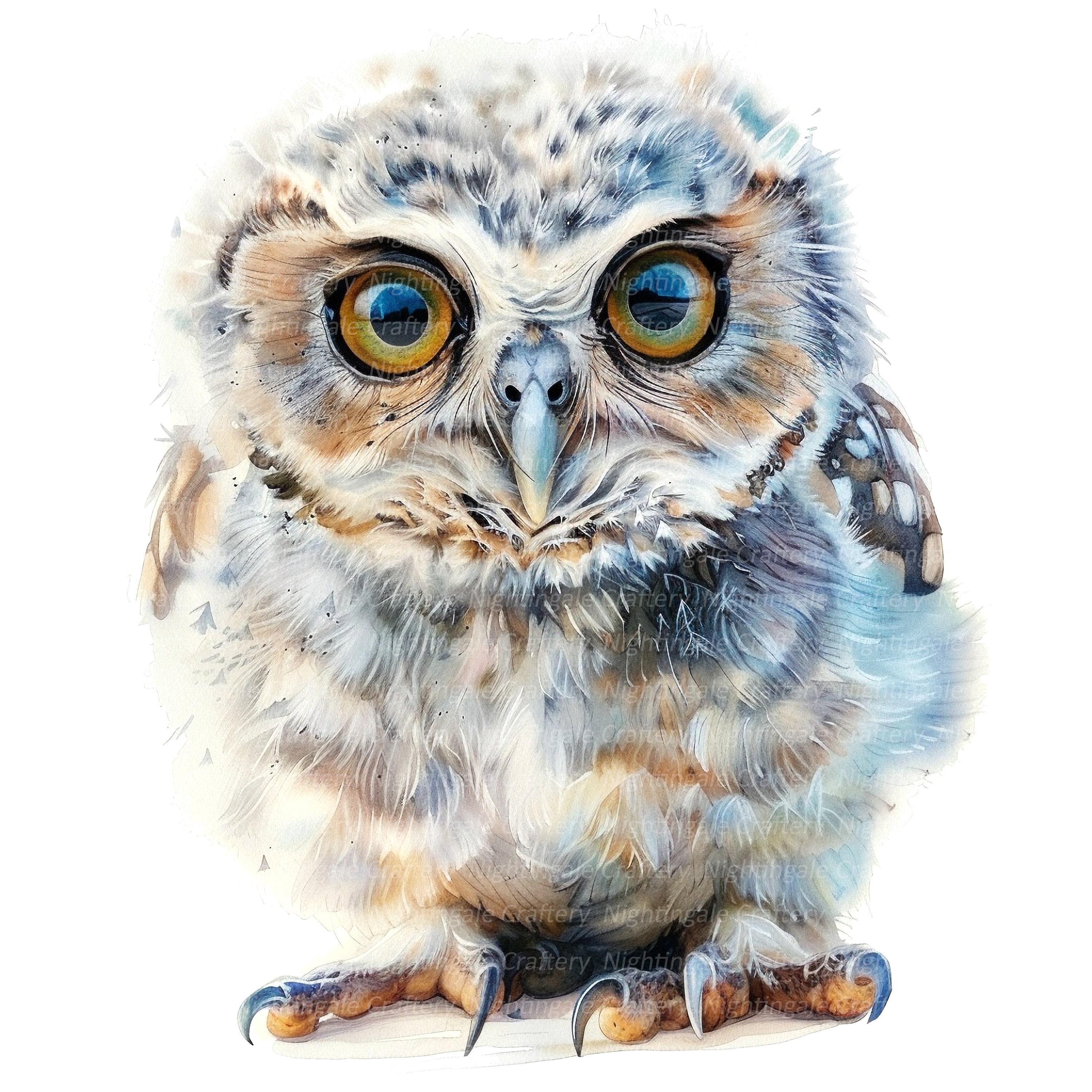 10 Cute Baby Owl Clipart, Fluffy Owl Clipart, Digital Clipart, Watercolor clipart, High Quality PNG/