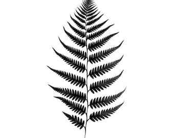 14 Forest Fern Leaves Clipart, Fern Tattoo, Printable Watercolor clipart, High Quality JPG/PNG, Digital download, Paper craft, junk journals