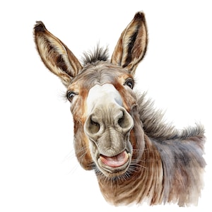 12 Funny Donkey Clipart Set 2, Printable Watercolor clipart, High Quality PNGs, Digital download, Paper craft, junk journals