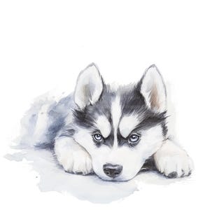 12 Husky Puppy Clipart, Husky Dog, Printable Watercolor clipart, High Quality JPGs, Digital download, Paper craft, junk journals, sticker