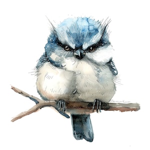 16 imágenes prediseñadas de pájaro gruñón, pájaro malvado, imágenes prediseñadas digitales, imágenes prediseñadas de acuarela, archivos JPG de alta calidad, imágenes prediseñadas imprimibles, descarga digital, manualidades de papel