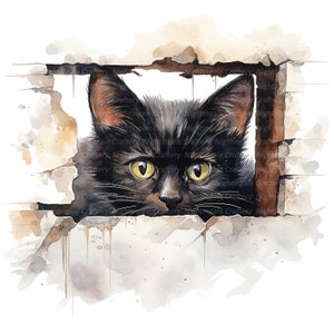 May include: A black cat with yellow eyes peeks through a hole in a brick wall. The cat's fur is soft and fluffy, and its eyes are wide with curiosity. The brick wall is weathered and worn, with cracks and chips in the mortar.