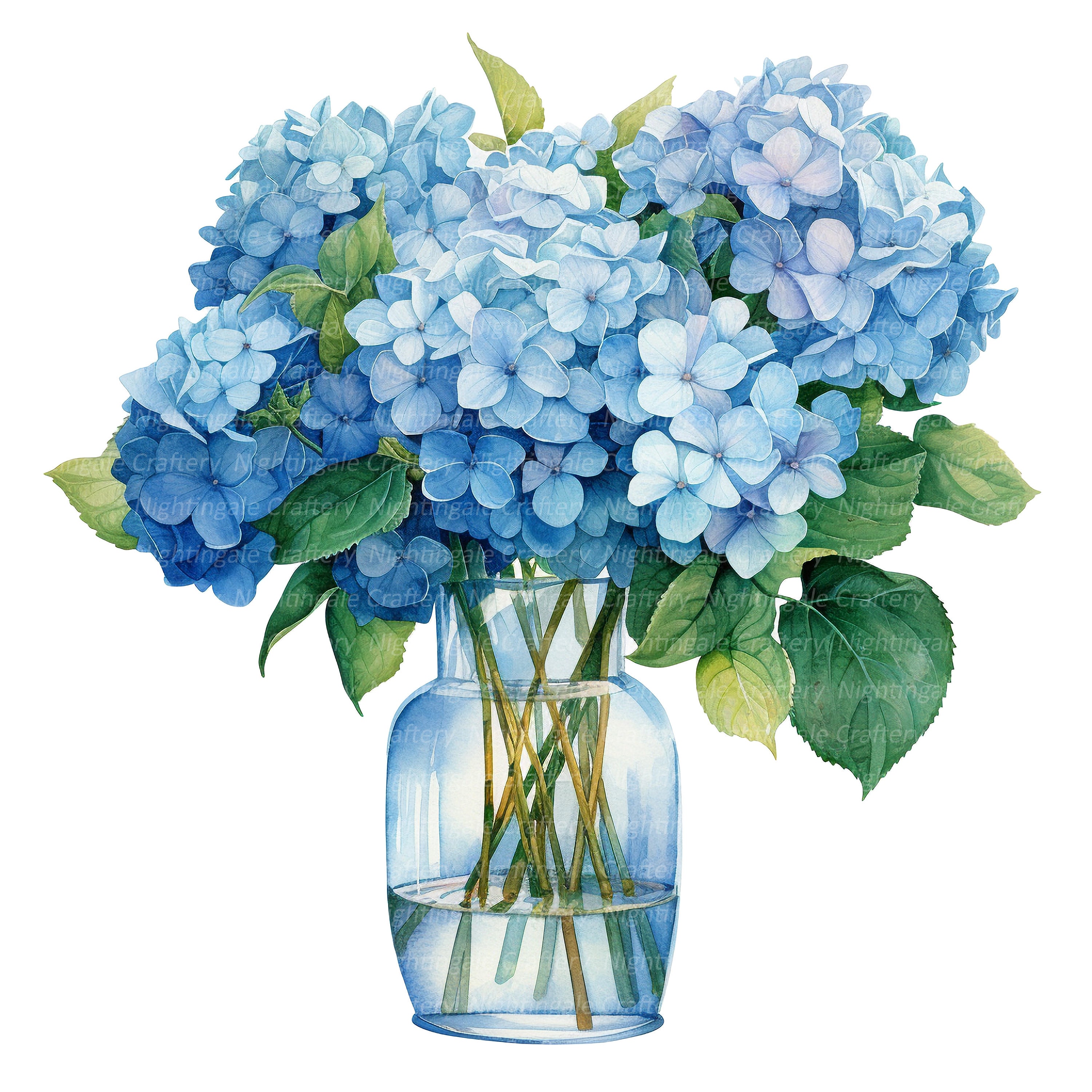 12 Hydrangea in Vase Clipart, Blue Hortensia, Printable Watercolor ...