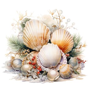 Puede incluir: Una pintura de acuarela de un grupo de conchas marinas, incluyendo una concha de vieira grande, una concha de vieira m&aacute;s peque&ntilde;a y una concha de caracol. Las conchas est&aacute;n rodeadas de ramitas de vegetaci&oacute;n, bayas blancas y bayas rojas.