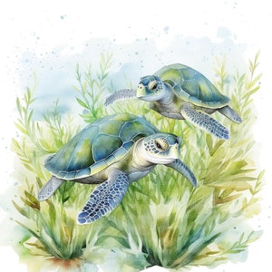 May include: Watercolor illustration of two sea turtles swimming among green sea plants. The turtles have blue-green shells and light-colored faces. The background features a soft, watercolor effect with shades of green and blue.