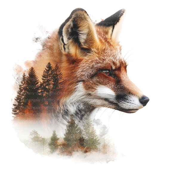 10 Fox Wall Art, Fox Photo, Fox print, Printable Wall Art, High Quality JPG/PNG, Digital download, High resolution, T-shirt, Sublimation