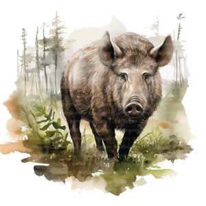 PNG Javali selvagem na floresta Clipart, Clipart de aquarela para impressão, 10 JPG/PNGs de alta qualidade, Download digital, Artesanato em papel, diários de lixo