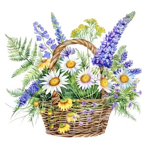 14 fleurs sauvages dans un panier Clipart, marguerites, fougères, clipart aquarelle imprimable, haute qualité JPG/PNG, téléchargement numérique, créations en papier, journal