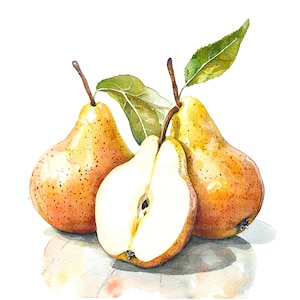 9 Clipart di pere, arte murale della cucina, stampa di pere, clipart di acquerelli stampabili, JPG di alta qualità, download digitale, artigianato di carta, diario di spazzatura