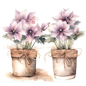 14 Rustic Flower Pots Clipart, Rustic Pots, Printable Watercolor clipart, High Quality JPGs, Digital download, Paper craft, junk journals image 7