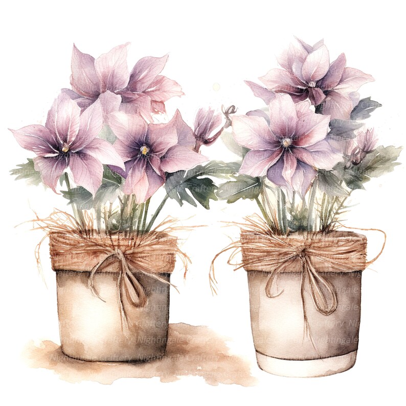 14 Rustic Flower Pots Clipart, Rustic Pots, Printable Watercolor clipart, High Quality JPGs, Digital download, Paper craft, junk journals image 7