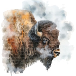 Puede incluir: Una pintura de acuarela de un bisonte marrón sobre un fondo blanco. El bisonte está mirando hacia la derecha y tiene una nube de vapor blanca que sale de sus fosas nasales. El pelaje del bisonte está detallado con pinceladas marrones, negras y blancas.
