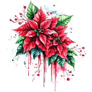 12 Poinsettia Graffiti Clipart, Clipart di Natale, Clipart digitale, Clipart acquerello, Clipart stampabile JPG di alta qualità, Download digitale