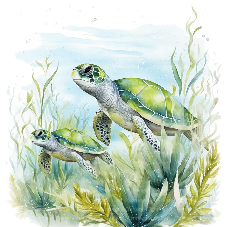 May include: Watercolor illustration of two green sea turtles swimming underwater. The turtles are surrounded by green and beige aquatic plants, with a light blue background. The turtles have detailed shells and are swimming towards the viewer.