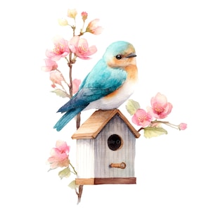 12 imágenes prediseñadas de pájaros caprichosos, imágenes prediseñadas de pájaros florales, imágenes prediseñadas digitales, imágenes prediseñadas de acuarela, archivos JPG de alta calidad, imágenes prediseñadas imprimibles, descarga digital