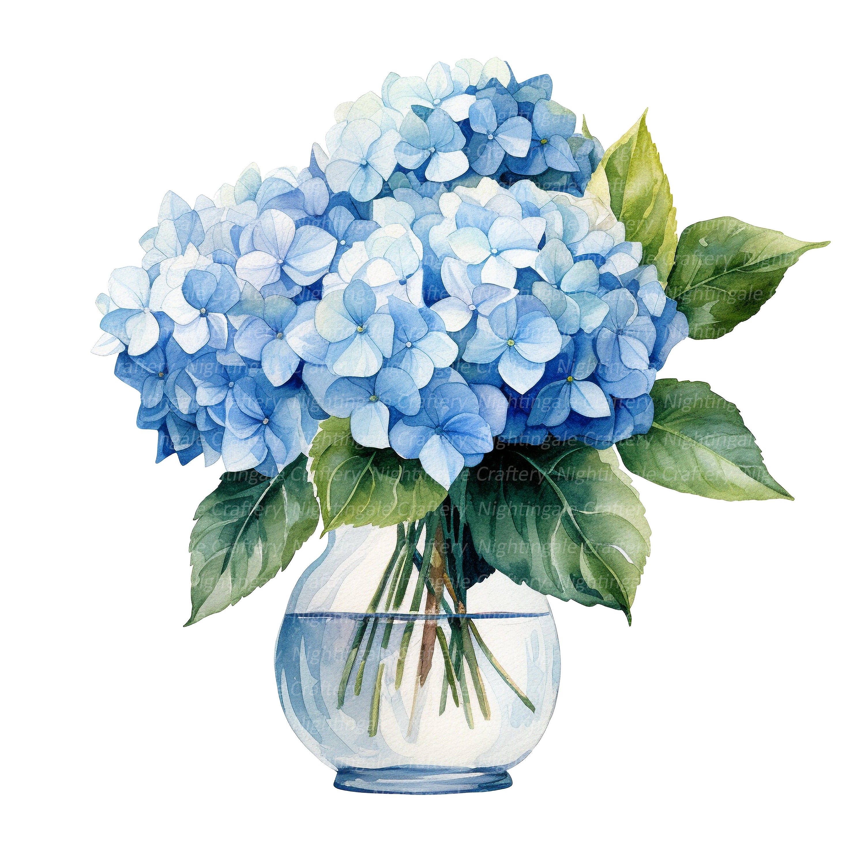 12 Hydrangea in Vase Clipart, Blue Hortensia, Printable Watercolor ...