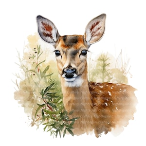 Fawn, Doe in Forest Clipart, Clipart acquerello stampabile, 10 JPG/PNG di alta qualità, Download digitale, Lavoretti di carta, diari spazzatura