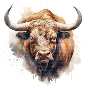 12 stier clipart, Ox clipart, afdrukbare aquarel clipart, hoge kwaliteit jpg's, digitale download, hoge resolutie, Paper Craft, junk journal
