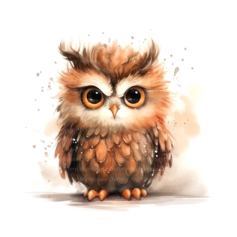Washed Owl 10 Grumpy Owl Clipart, Cute Owl Clipart, Digital Clipart, Watercolor ...