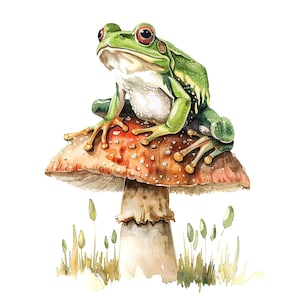 12 clipart grenouille et champignon, clipart crapaud, clipart aquarelle imprimable, haute qualité PNG/JPG, téléchargement numérique, créations en papier, journaux indésirables