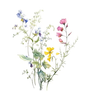 Ensemble de 8 décorations de fleurs sauvages, fleurs sauvages, clipart aquarelle imprimable, fichiers JPG de haute qualité, téléchargement numérique, créations en papier, journal indésirable