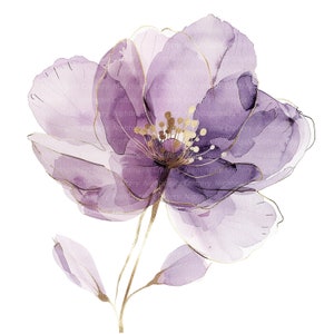 10 fleurs violettes lavande abstraites Clipart, clipart aquarelle imprimable, PNG de haute qualité, téléchargement numérique, créations en papier, journaux indésirables